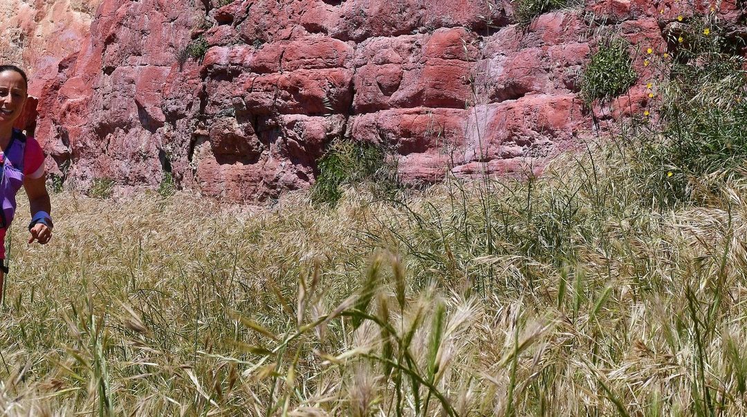 À Mimet, vous en verrez de toutes les couleurs !